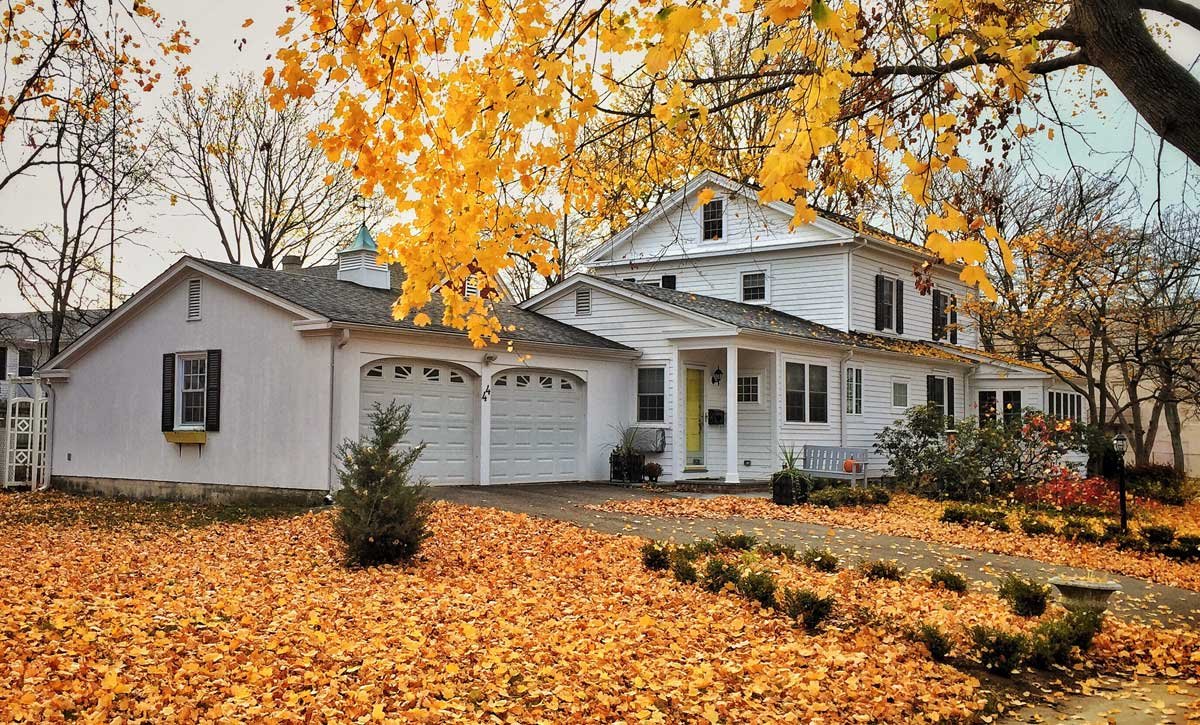 Neighborhood home with large tree with yellow leaves